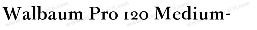Walbaum Pro 120 Medium字体转换